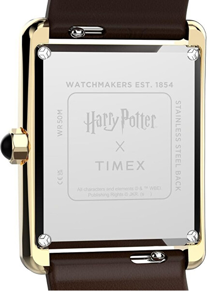 Harry Potter x Hailey Hogwarts TW2Y75700QY