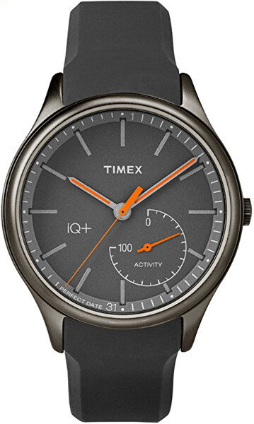 Smart Watch iQ+ TW2P95000