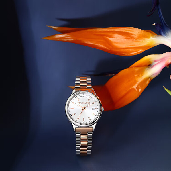 City Life R2453170501