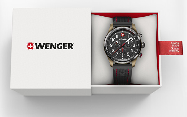 Terragraph Chrono 01.0543.113
