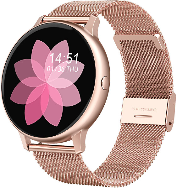 Smartwatch W35GST - Gold Stainless