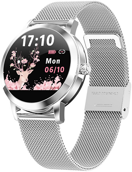 Smartwatch WO10CS - Classic Silver