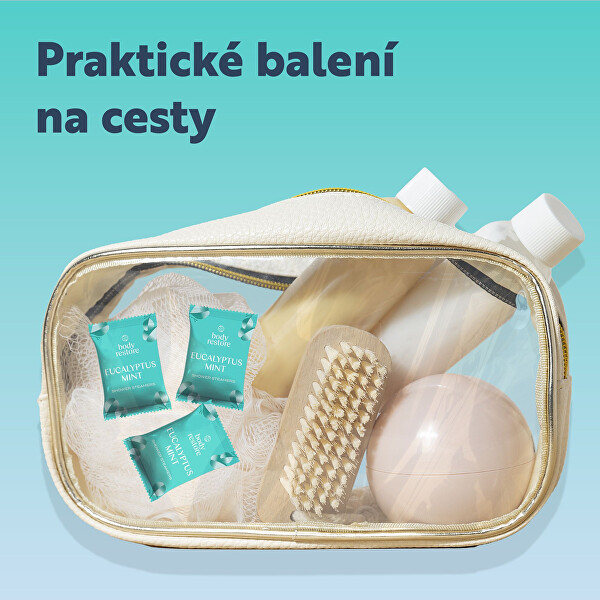 Sada aromatických tablet do sprchy Eukalyptus a Máta Shower Steamers