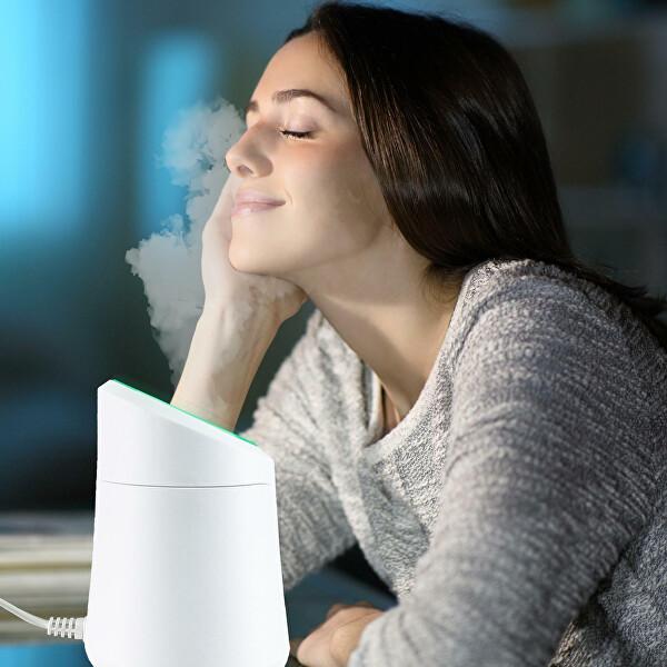 Obličejová sauna P302VIS010