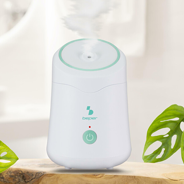 Obličejová sauna P302VIS010