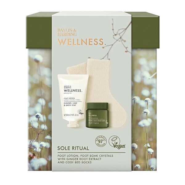 Dárková sada péče o nohy Wellness Ginger, Lime & Basil 3 ks