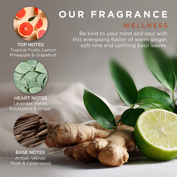 Dárkový box s produkty péče o tělo Ginger, Lime & Basil 5 ks