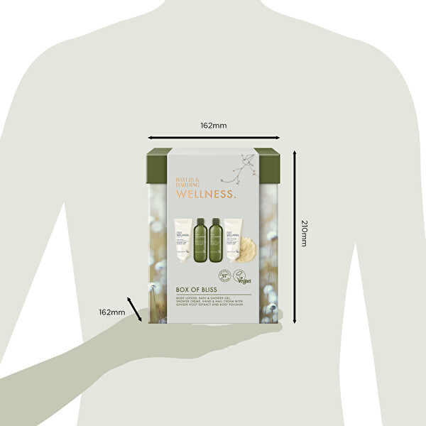 Dárkový box s produkty péče o tělo Ginger, Lime & Basil 5 ks
