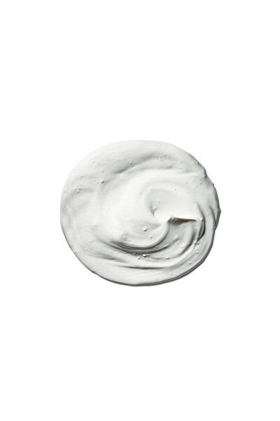 Čisticí maska regulující tvorbu mazu (Sebum-Regulating Mask) 25 ml