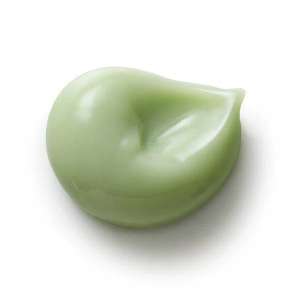 Mátová zubní pasta (Mint Toothpaste) 75 ml