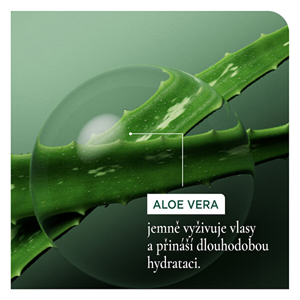 Hydratační šampon pro suché vlasy Biolage Hydrasource (Shampoo)