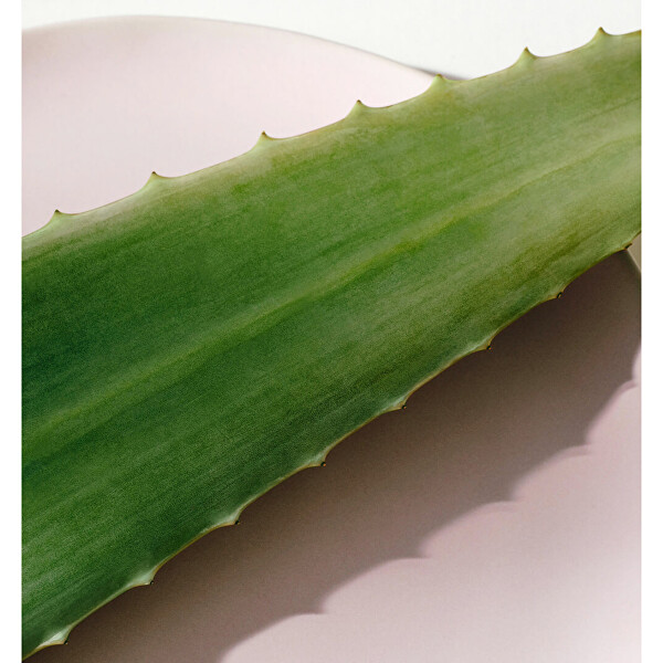 Leichte Körperlotion Aloe Hydration (Body Lotion)