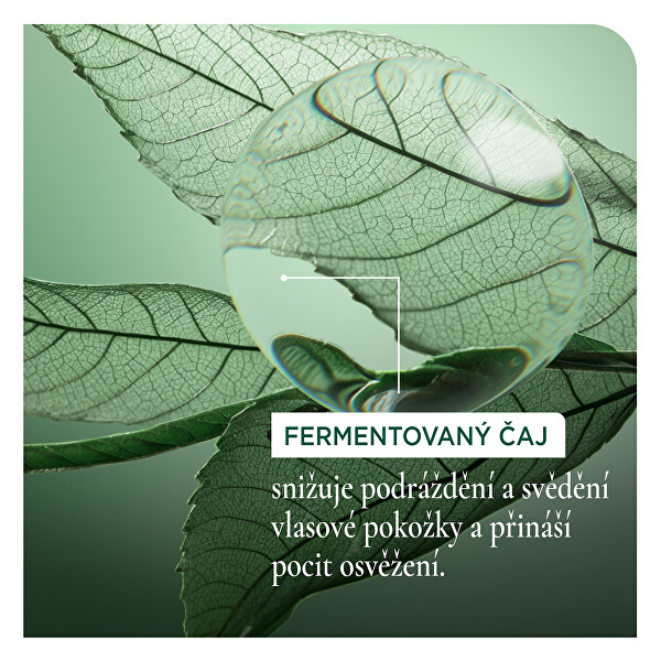Pročišťující šampon na vlasy Scalp Sync (Clarifying Shampoo)