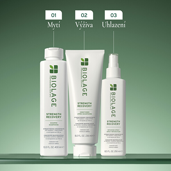 Šampon pro poškozené vlasy Strength Recovery (Shampoo)