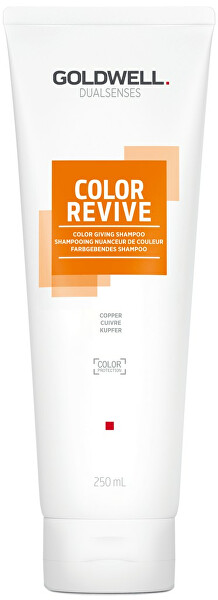 Šampon pro oživení barvy vlasů Copper Dualsenses Color Revive (Color Giving Shampoo)