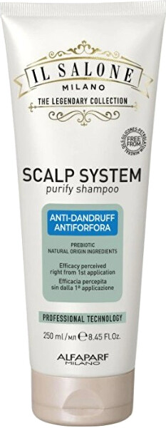 Šampon proti lupům Scalp System (Purify Shampoo)