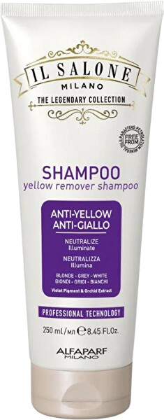 Šampon proti žlutým tónům (Yellow Remover Shampoo)