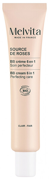 BB krém (BB Cream 6 in 1) 40 ml