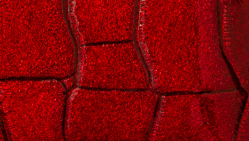 Rodinná červená manikúra Solingen z pravé kůže PL25204