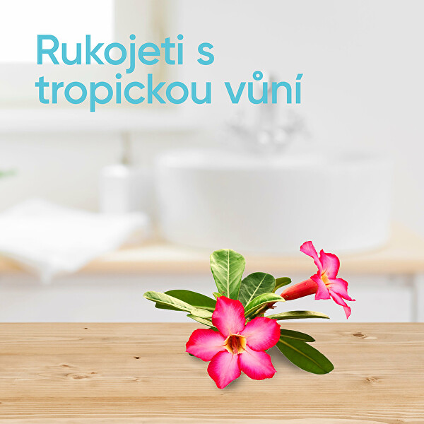 Jednorázová holítka Venus Tropical 6 ks