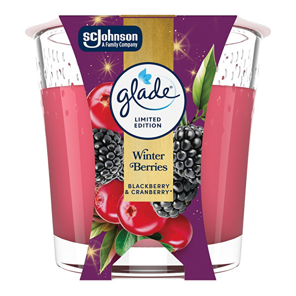 Vonná svíčka Winter Berries 112 g