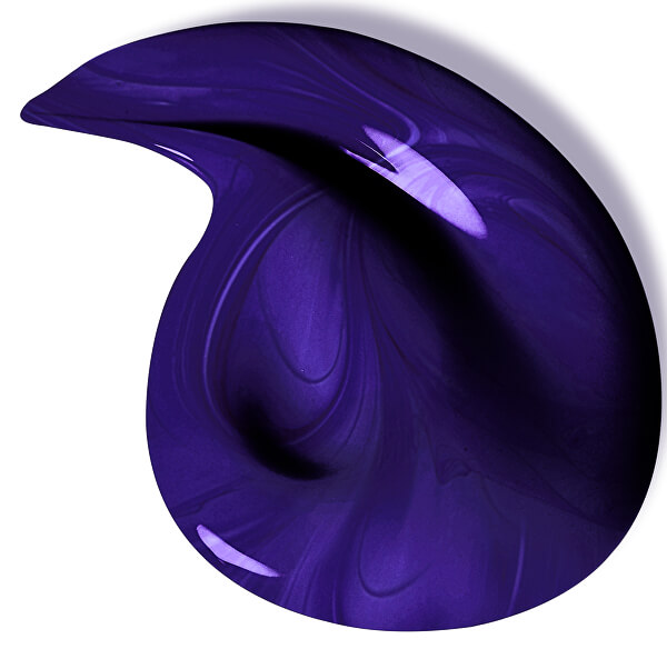 Sampon melírozott, szőke és szürke hajra Elseve Color-Vive Purple (Shampoo) 200 ml