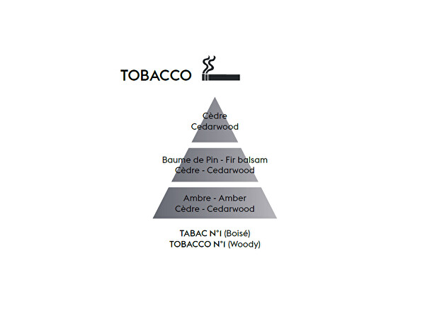 Difuzér Cube proti zápachu tabáku Woody (Anti-odour Tobacco) 125 ml