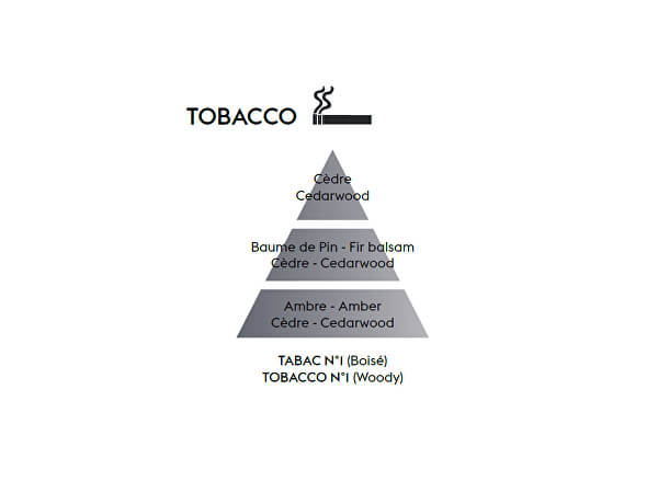 Ricarica per diffusore per auto Antiodour tabacco Tobacco (Car Diffuser Recharge/Refill) 2 pz