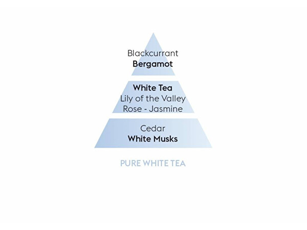 Ricarica per lampada catalitica Tè bianco puro Pure White Tea (Lampe Recharge/Refill) 500 ml