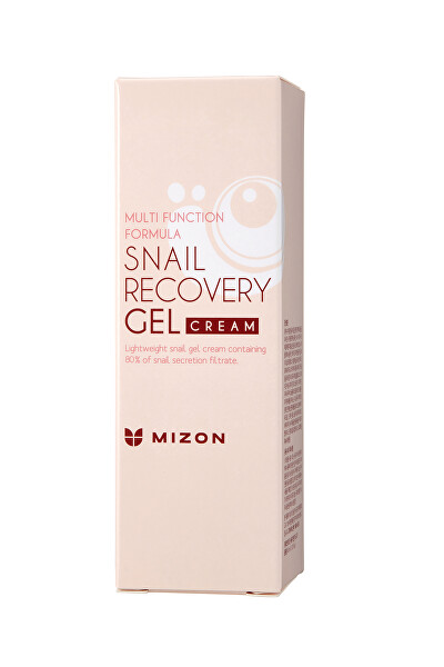 Gel pentru piele cu filtrat de secreție de melc 80% pentru ten problematic (Snail Recovery Gel Cream) 45 ml