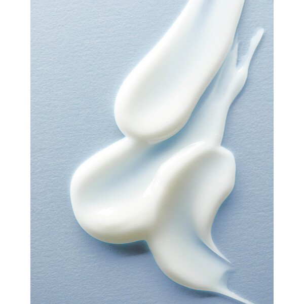 Crema giorno opacizzante (Face Cream) 50 ml