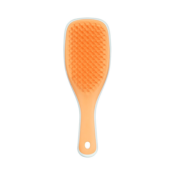 Kartáč na vlasy Mini Ultimate Detangler Sweet Orange & Ice Blue