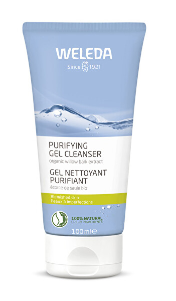 Čisticí gel proti nedokonalostem (Purifying Gel Cleanser) 100 ml