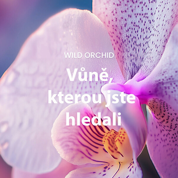 Aromatická sviečka Signature sklo malé Wild Orchid 110 g