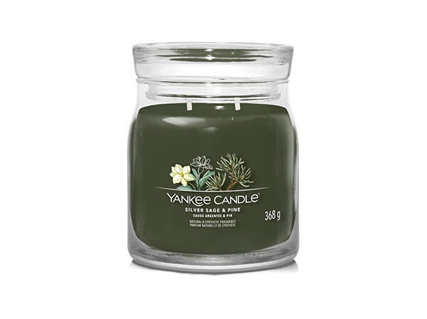Aromatische Kerze Signature Glas mittel Silver Sage & Pine 368 g