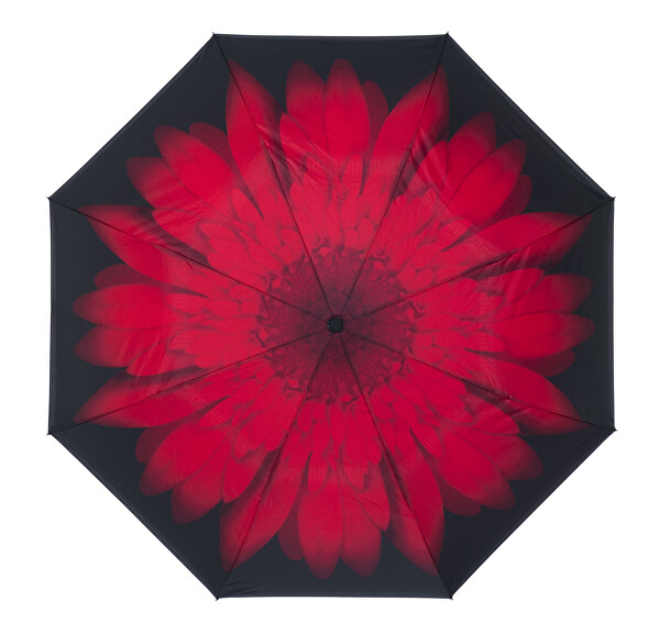 Női beltéri esernyő, piros Daisy esernyő kívül