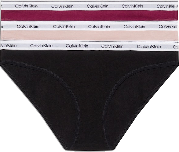 3 PACK - Damenhöschen Bikini