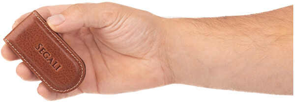 Magnetická kožená spona na bankovky