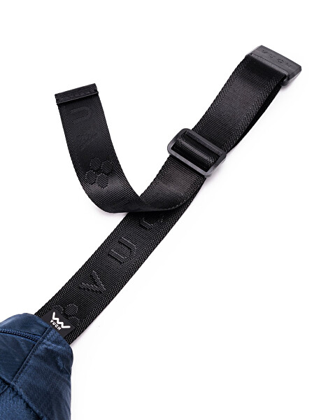 Ledvinka Remus Men Blue