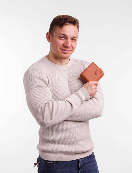 Pánská peněženka Raniero Brown