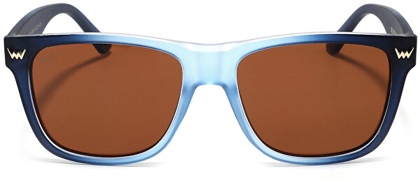 Polarizační sluneční brýle Ferdy Vertical Blue