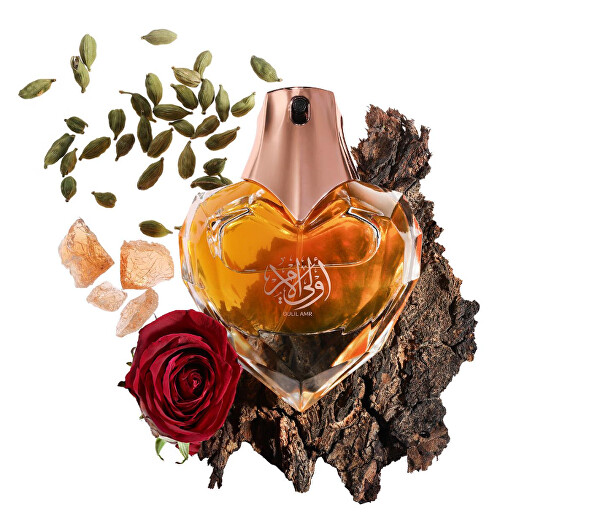 Oulil Amr - EDP