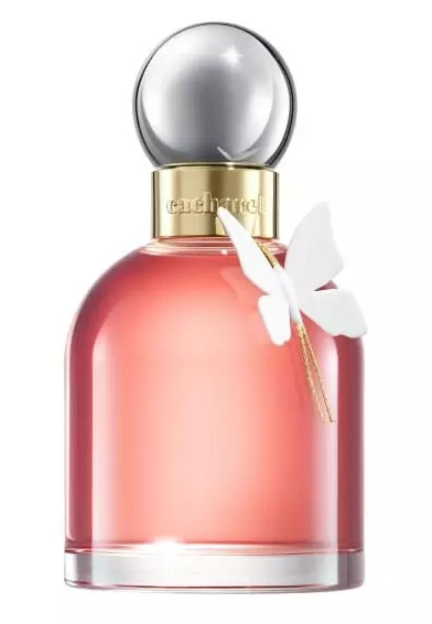 100 ml, pCH113100