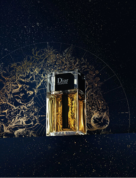 Dior Homme 2020 - EDT 100 ml + sprchový gel 50 ml + EDT 10 ml