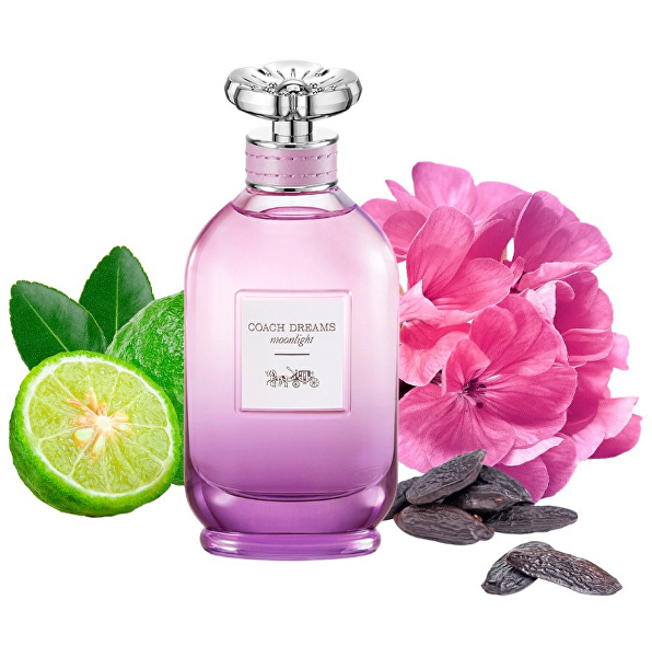Coach Dreams Moonlight - EDP