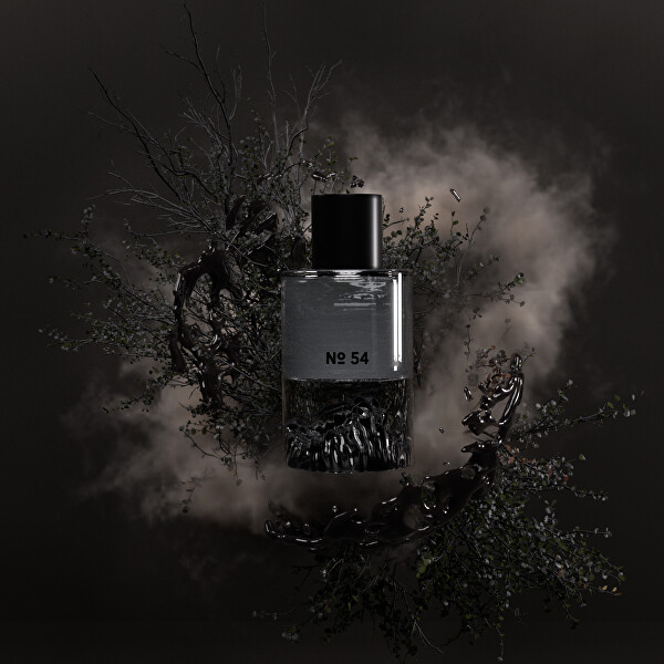 No. 54 - EDP