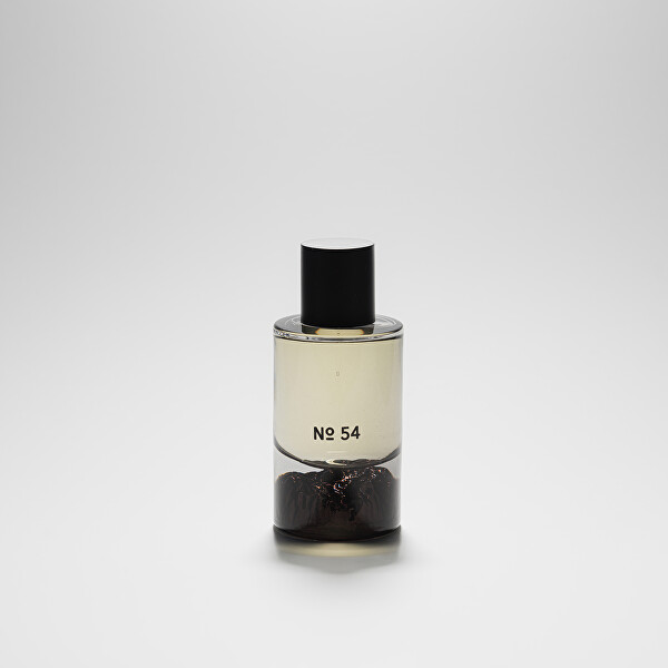 No. 54 - EDP