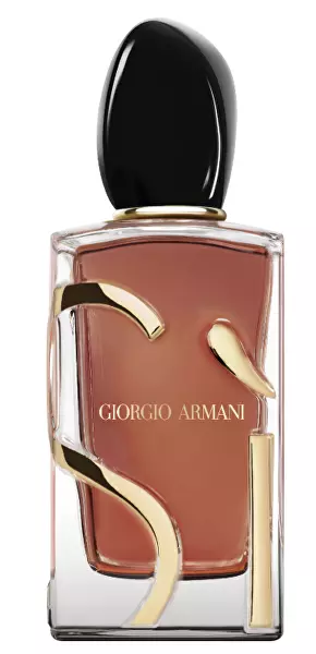 100 ml, pGA541100