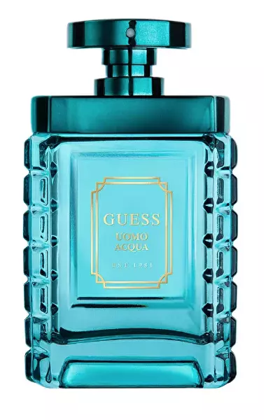 100 ml, pGE156100