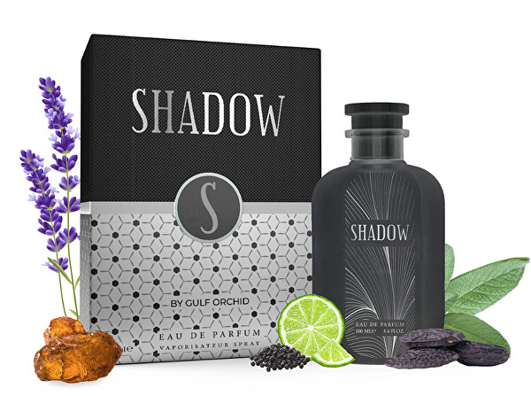 Shadow - EDP